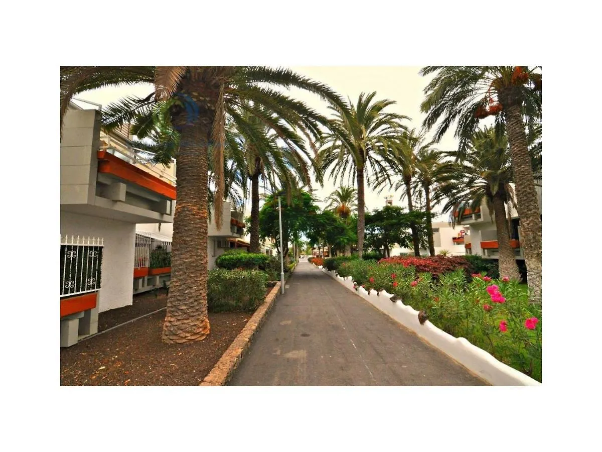 Apartamento Primavera Costa Del Silencio 0*,